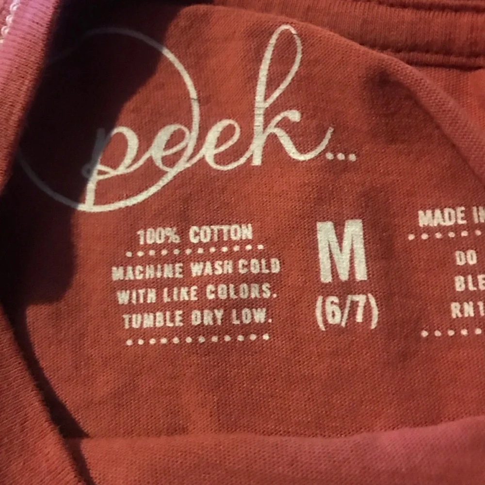 Peek Tom Sawyer Graphic Kids Tee in Rust Orange Size 6/7